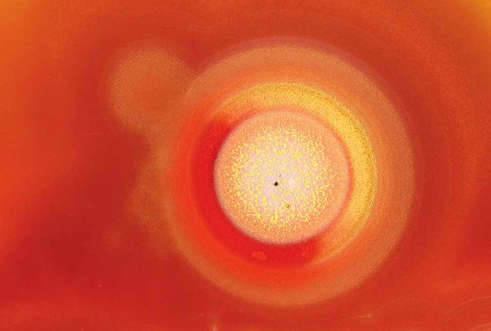 Willkommen bei farbenstein.de